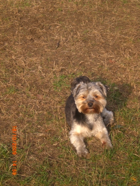 Benky