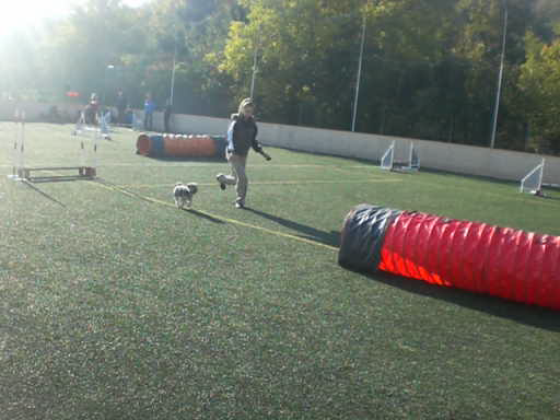 vlcsnap-2012-10-20-20h25m11s9