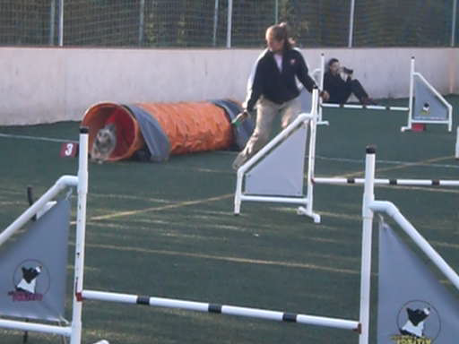 vlcsnap-2012-10-20-20h20m06s33