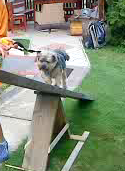 vlcsnap-2012-07-03-15h21m23s245