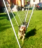 slalom
