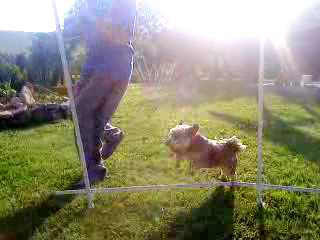 vlcsnap-2012-06-07-12h20m27s147