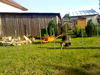 vlcsnap-2012-06-07-12h37m22s38
