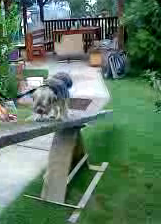 vlcsnap-2012-07-03-15h20m58s194