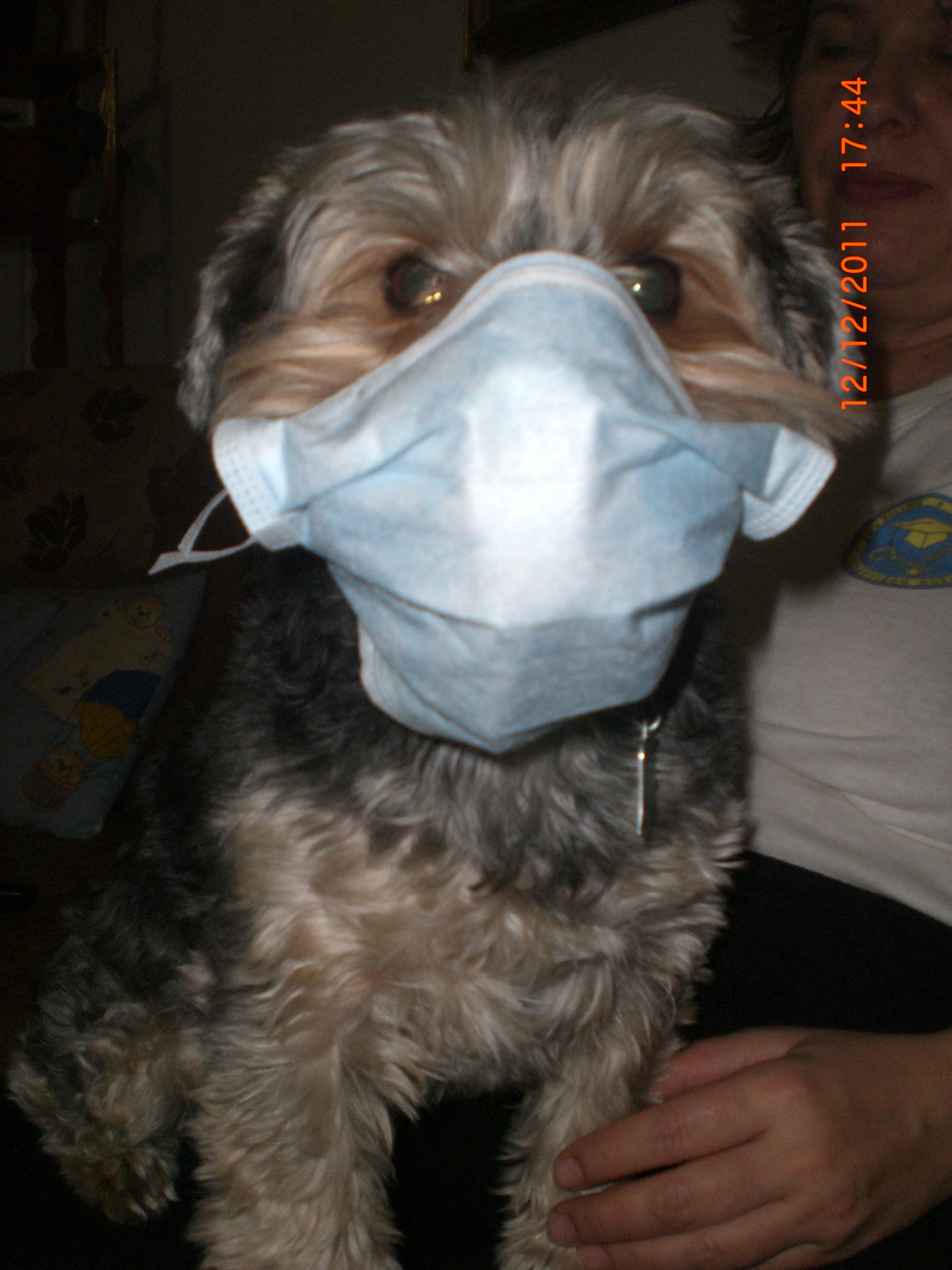 Doktor